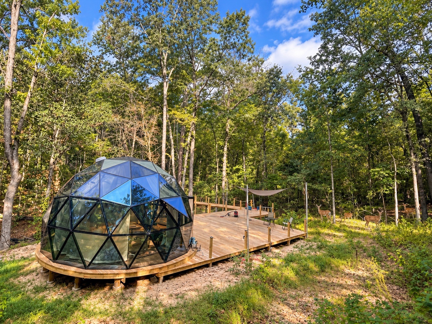 526 Orbit glass cabin and deck in a forest scene with digitally added deer
